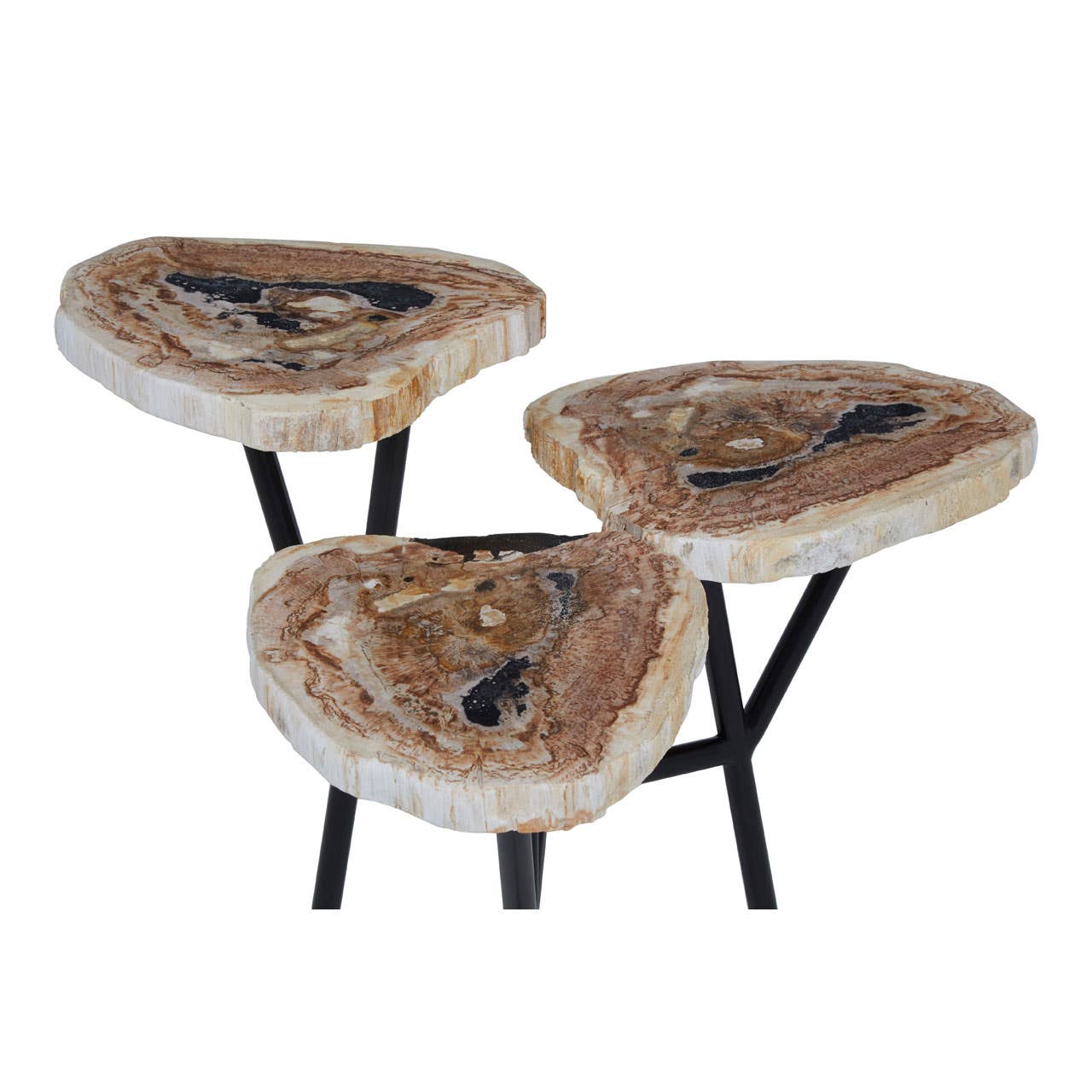 Relic Side Table With Petrified Wood Top