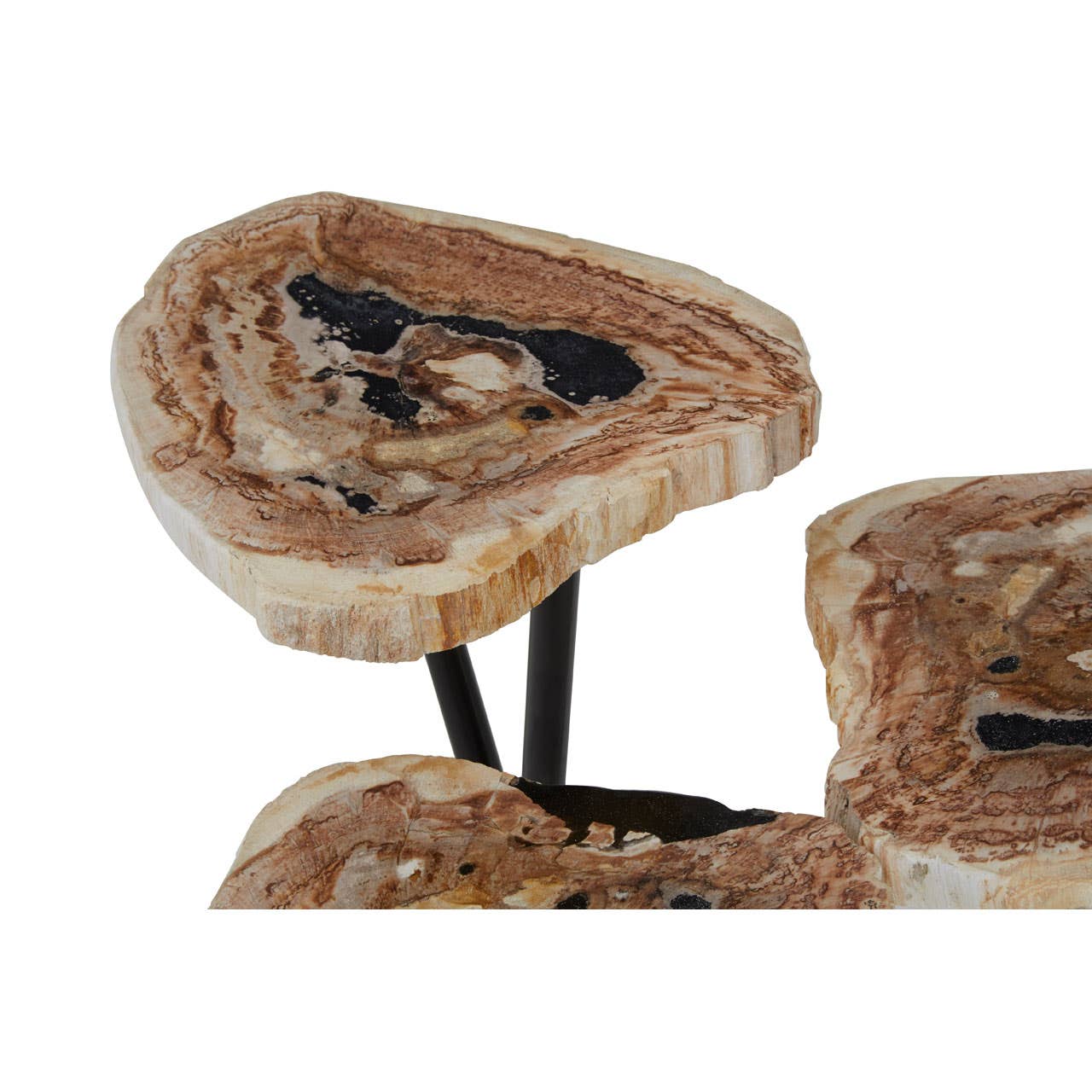 Relic Side Table With Petrified Wood Top